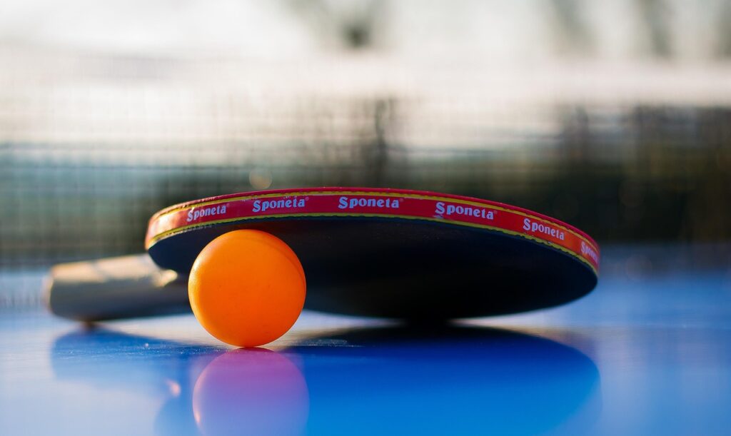 sports, ball, leisure time, game, table tennis, ping-pong, to play, fun, game device, summer, nature, tennis sports, tennis